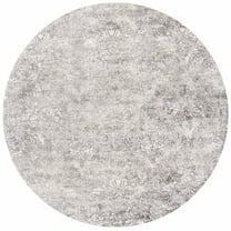 SAFAVIEH Mirage Jacqueline Floral Area Rug, Silver/Ivory, 6' x 6' Round