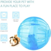 FurNest Plastic Hamster Rodent Ball Running Fitness Toy Large Exercise
