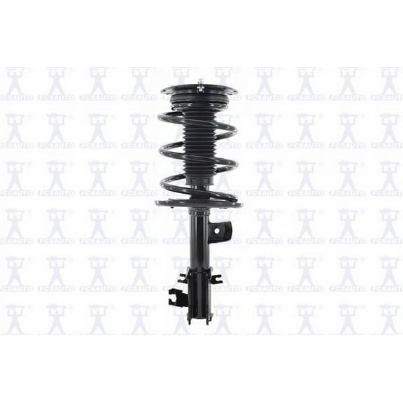 Suspension Strut and Coil Spring Assembly