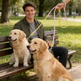 thumbnail image 4 of Rewenti Double Dog Leash with Foam Handle Gradient Nylon Rope for Two Dogs Double Hook Walking Lead for Small to Medium Dogs, 4 of 5