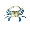 thumbnail image 4 of Lifelike Maryland Blue Crab Nautical Plaque Wall Mount Tiki Bar Beach House Coastal Home Decor, 4 of 4