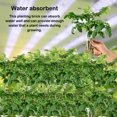 thumbnail image 3 of pitrice 100 Pieces Garden Rooting Sponge Brick Water Absorbent Home Garden Single Seedling Potting Block Flower Plants Growing Media Gardening Accessory, 3 of 6