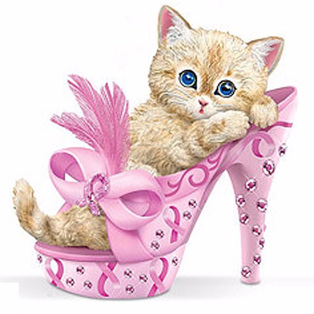 Cuadros Decorativos 5D bricolaje completo taladro gatito animal diamante pintura rhinestone artesanía (a1923) Wdftyju embutido en tela