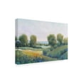thumbnail image 2 of Tim O'Toole 'Paysage II' Canvas Art, 2 of 3