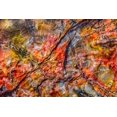 thumbnail image 2 of Perry, William 24x17 White Modern Wood Framed Museum Art Print Titled - Red-blue-orange petrified wood-Visitor Center-Petrified Forest National Park-Arizona, 2 of 4