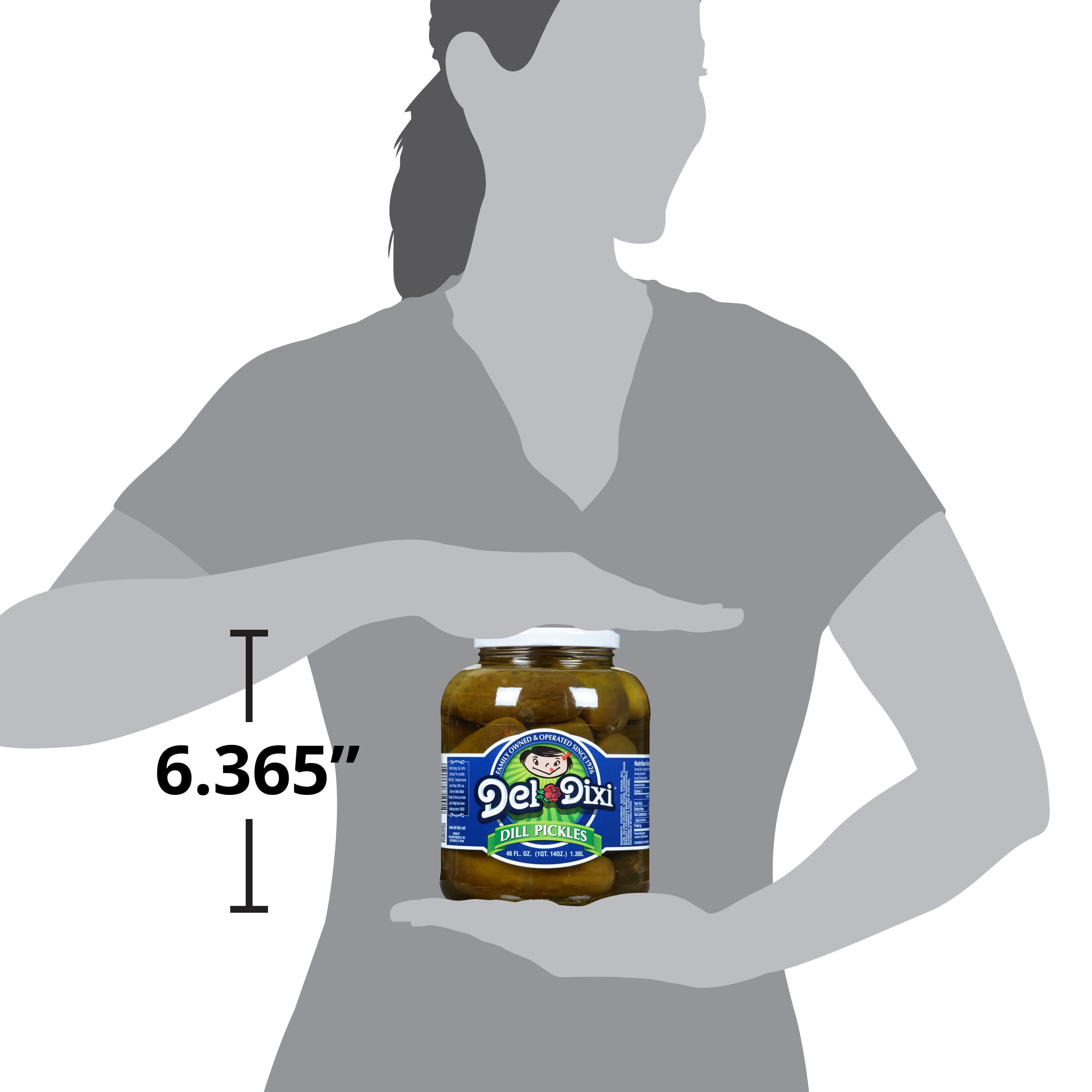 dill☻︎dp.martです Del-Dixi Dill Pickles Slices, Crisp