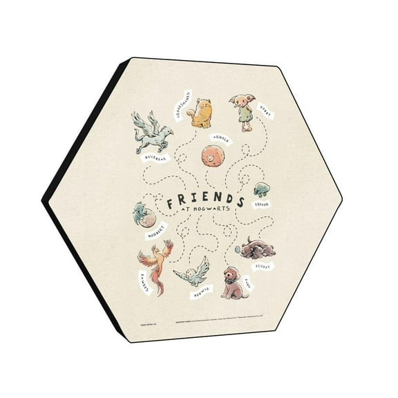 Harry Potter (Charming Vintage Friends) KNEXAGON® Wood Print