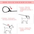 thumbnail image 6 of Unique Bargains Slip for Dogs 5FT No-Pull Dog Leash with Comfortable Rope Design Heavy Duty Training for Small Medium Dogs Black, 6 of 7