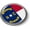 Plastic Bezel, variant on BestLicensePlateFrames North Carolina State 3D Domed Design Flag Car Emblem Round Badge Sticker - Metal Bezel