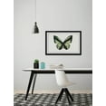 thumbnail image 4 of Hunter Green Butterfly Framed Painting Print, 4 of 6