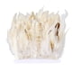thumbnail image 1 of Moyic Borde de flecos fácil de emplumar para manualidades de costura Diseños impresionantes Borde de flecos de plumas sin esfuerzo Tela de costura y artesanía, 1 of 6