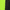 Voltage Green, variant on Athletic Works Boy's Active Sport Shorts, Sizes 4-18