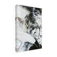 thumbnail image 2 of Design Fabrikken 'Black and White 1' Canvas Art, 2 of 3