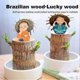 thumbnail image 4 of Mini Brazil Lucky Wood with Monk Ornament, Brazilian Lucky Wood for Home Decor & Good Luck Charm, 4 of 5