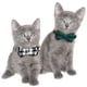 thumbnail image 4 of Laklulu - Paquete de 2 collares para gatos con pajarita y cascabel, collar para gatitos personalizado, 4 of 5