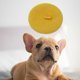 thumbnail image 5 of Sombrero para Perros Fernando Accesorios para fotos de vacaciones y cumpleaños Amarillo, 5 of 8