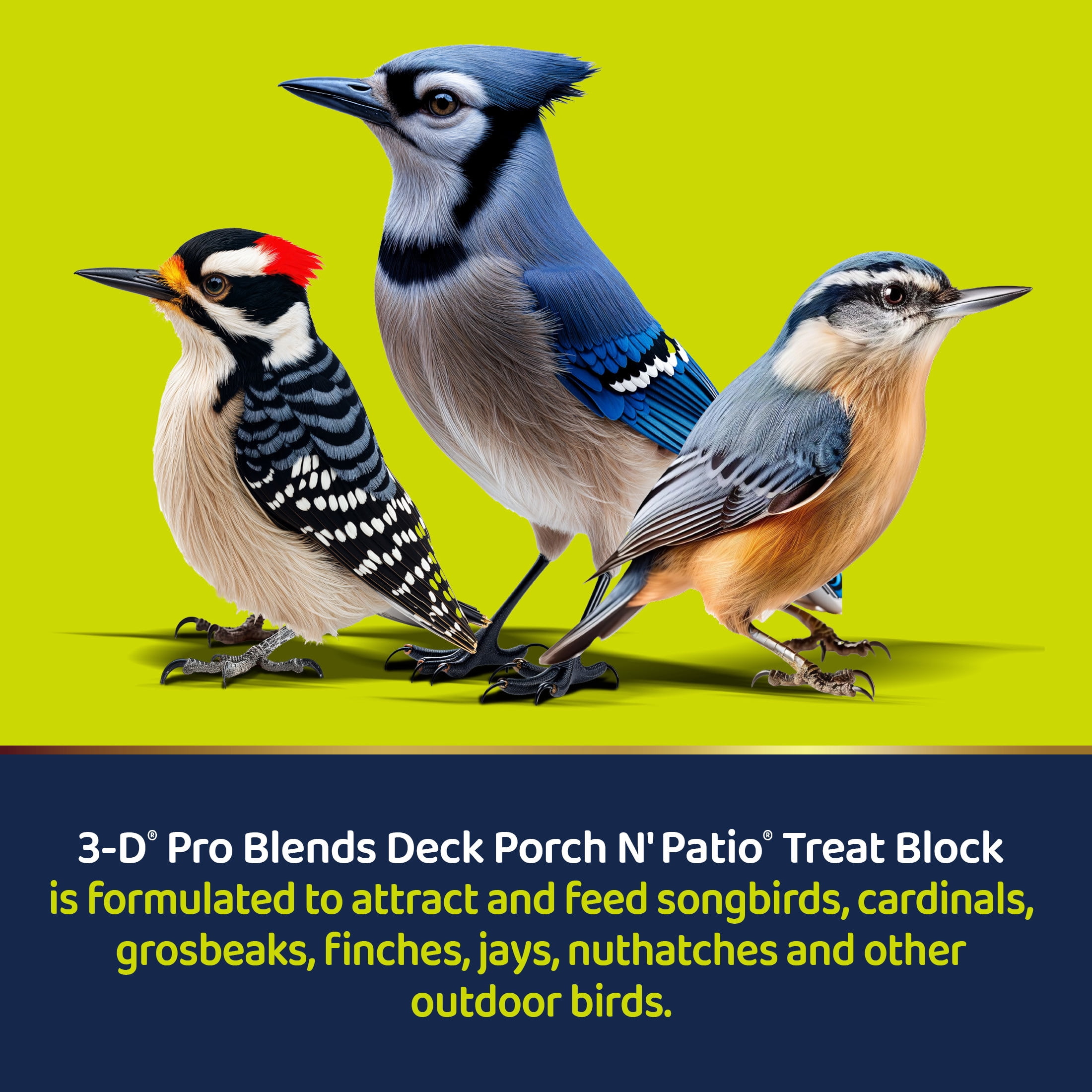 3-D Pro Blends Deck Porch N Patio Zero-Waste Blend Wild Bird Food Block, 1 Pound