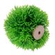 thumbnail image 4 of Acuario Planta de agua artificial Hierba Bola Adorno Paisaje Decoración (Verde) Tmvgtek Oficina Multiescena Multifunción, 4 of 6