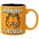 thumbnail image 1 of Taza de cerámica Silver Buffalo Garfield Serious Big Face 600 ml, 1 of 2
