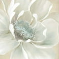 thumbnail image 2 of Robinson, Carol 26x26 White Modern Wood Framed Museum Art Print Titled - Winter Blooms I, 2 of 4