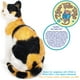 thumbnail image 3 of Catalina El Gato Calico 32cm Peluche Tiger Tale Toys viaplu1011, 3 of 6