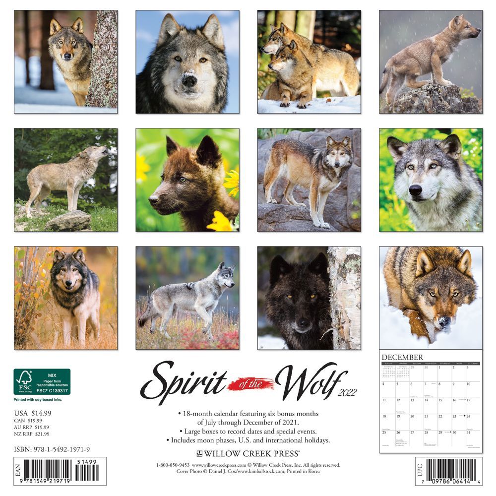 Wolf Calendar 2022 Walmart