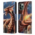 thumbnail image 1 of Head Case Designs Officially Licensed Anne Stokes Dragons Fury Leather Book Wallet Case Cover Compatible with Apple iPhone 11 Pro, 1 of 6