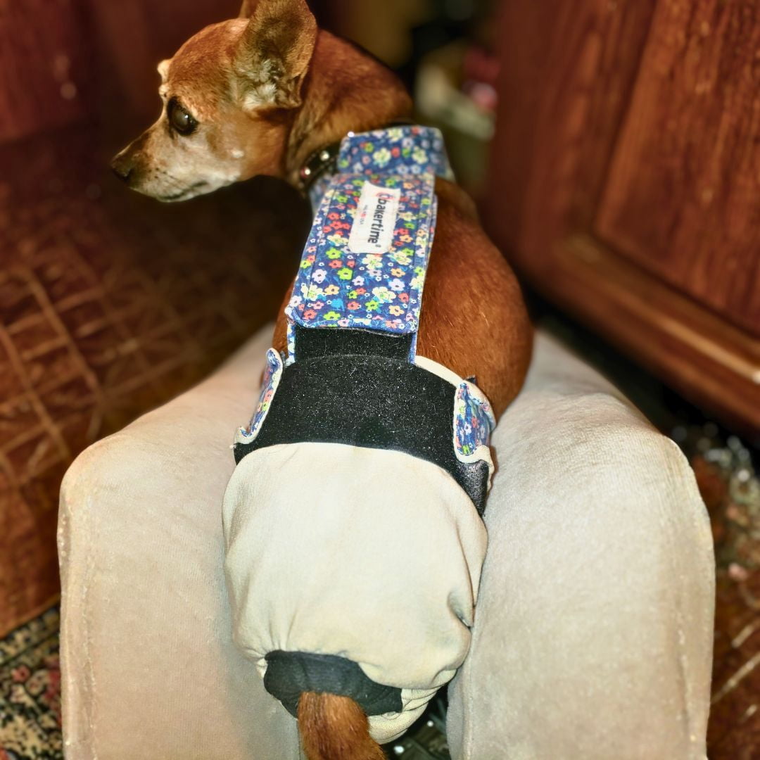 Barkertime Flower Garden on Frosty Cream Dog Diaper Overall