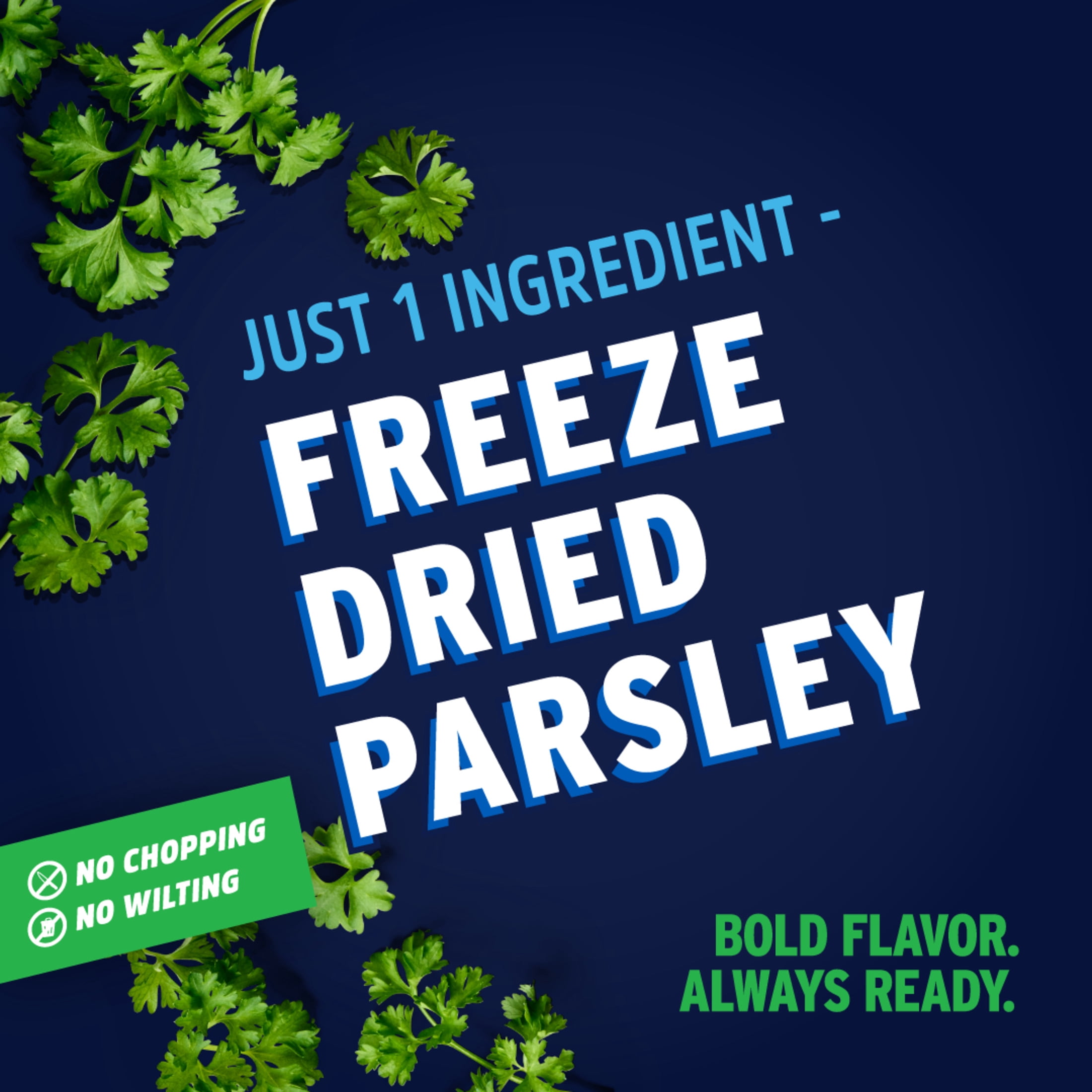 (3 pack) Litehouse® Parsley Freeze Dried Herbs 0.3 oz. Jar