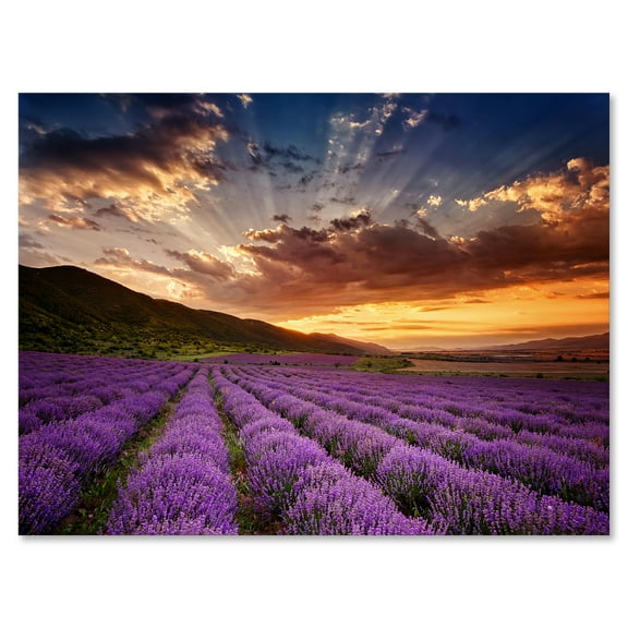 Designart ' Dramatic Clouds and Sunrise Over Lavender Field X ' Farmhouse Canvas Wall Art Print