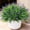 Purple, variant on 20PCS Artificial Plants Fake Flowers Monkey Grass for Outdoors,UV Resistant Realistic Purple Faux Greenery Shrubs Outside Decor for Home Garland Porch Patio Balcony Planter Yard Office Pathway