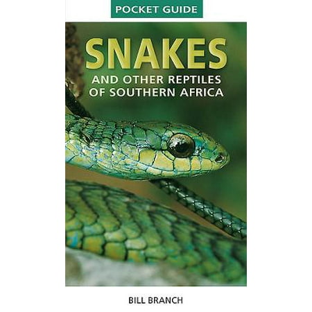 Pocket Guide: Snakes & Reptiles of South Africa (Best Protein Shakes South Africa)