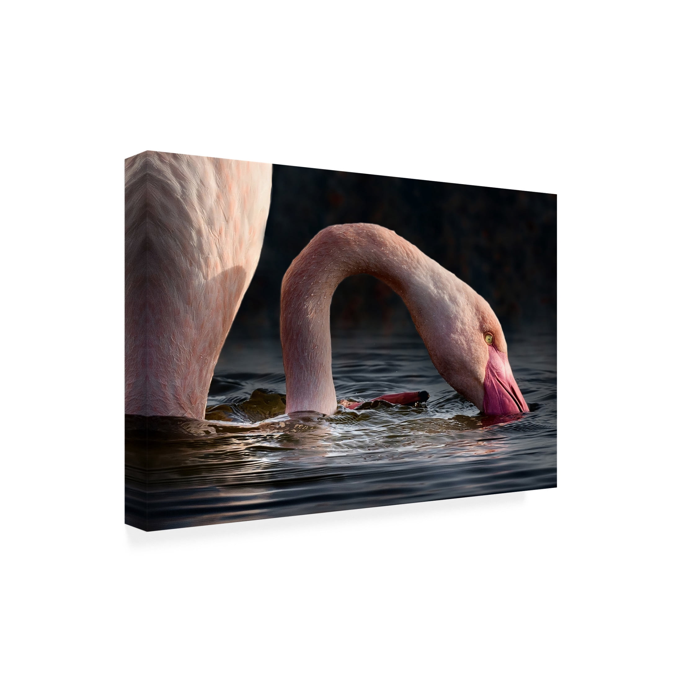 Trademark Fine Art Walter Caterina senza titolo Canvas Wall Art