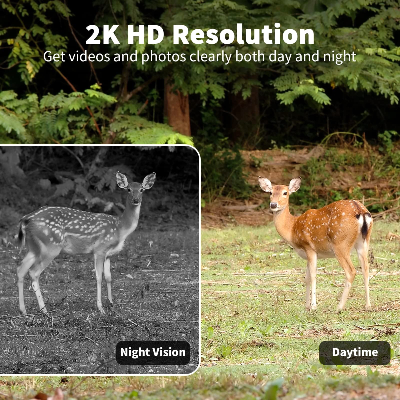 GMOX 4G Cellular Solar PTZ Trail Camera, 360° Live View Game Cam, Camo, 1 Pack