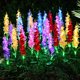 thumbnail image 5 of Billuyoard 2 uds luz Solar hermosa flor al aire libre ahorro de energía RGB lámparas de patio lámpara de camino a prueba de herrumbre iluminación Iluminación y accesorios Azul Billuyoard HA073511-04, 5 of 6