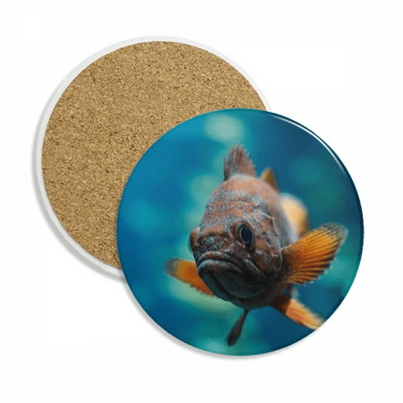 

Small Tropical Fish Marine Organism Coaster Cup Mug Tabletop Protection Absorbent Stone