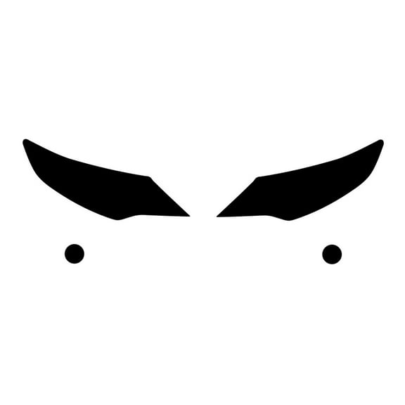 Rvinyl Headlight Tint Covers Compatible with Toyota Camry 2010-2011 - Clear