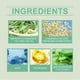 thumbnail image 3 of Lápiz de Uñas de 5 Ml | Fortalece, Hidrata y Regenera Las Uñas, con Aceite de Aloe, Fácil de Usar | Paquete Familiar, 3 of 7