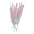 thumbnail image 2 of 15 piezas de hierba de la pampa seca, penachos de caña, ramo de flores, flores decorativas de Phragmites Rosa, 2 of 9