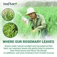 thumbnail image 4 of LeafLea 80 Rosemary Leaf Tea Bags, 100% Pure Rosemary Herbal Tea, Gentle Digestive Comfort, Caffeine-Free, Sugar-Free, , Individually Sealed, 4 of 16