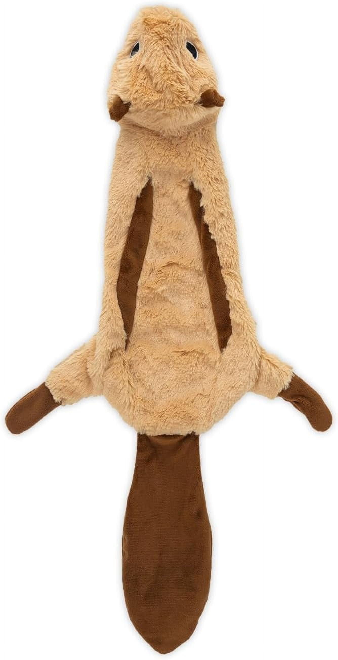 Best Pet Supplies 2-in-1 Stuffless Squeaky Dog Toy, Soft Dog Chew Toys, Squirrel, Medium