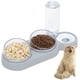 thumbnail image 1 of Cuenco para gatos con doble elevación, cuenco para gatos antivómitos con inclinación de 15°, cuenco para mascotas con almacenamiento automático de agua 3 en 1, disponible para gatos y cachorros (gris JAMW Sencillez, 1 of 5