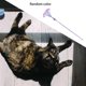 thumbnail image 2 of Gato burlas palo atractivo relajación plástico sonido crujiente con y campana interactivo para juguetes para exteriores suministro, 2 of 9