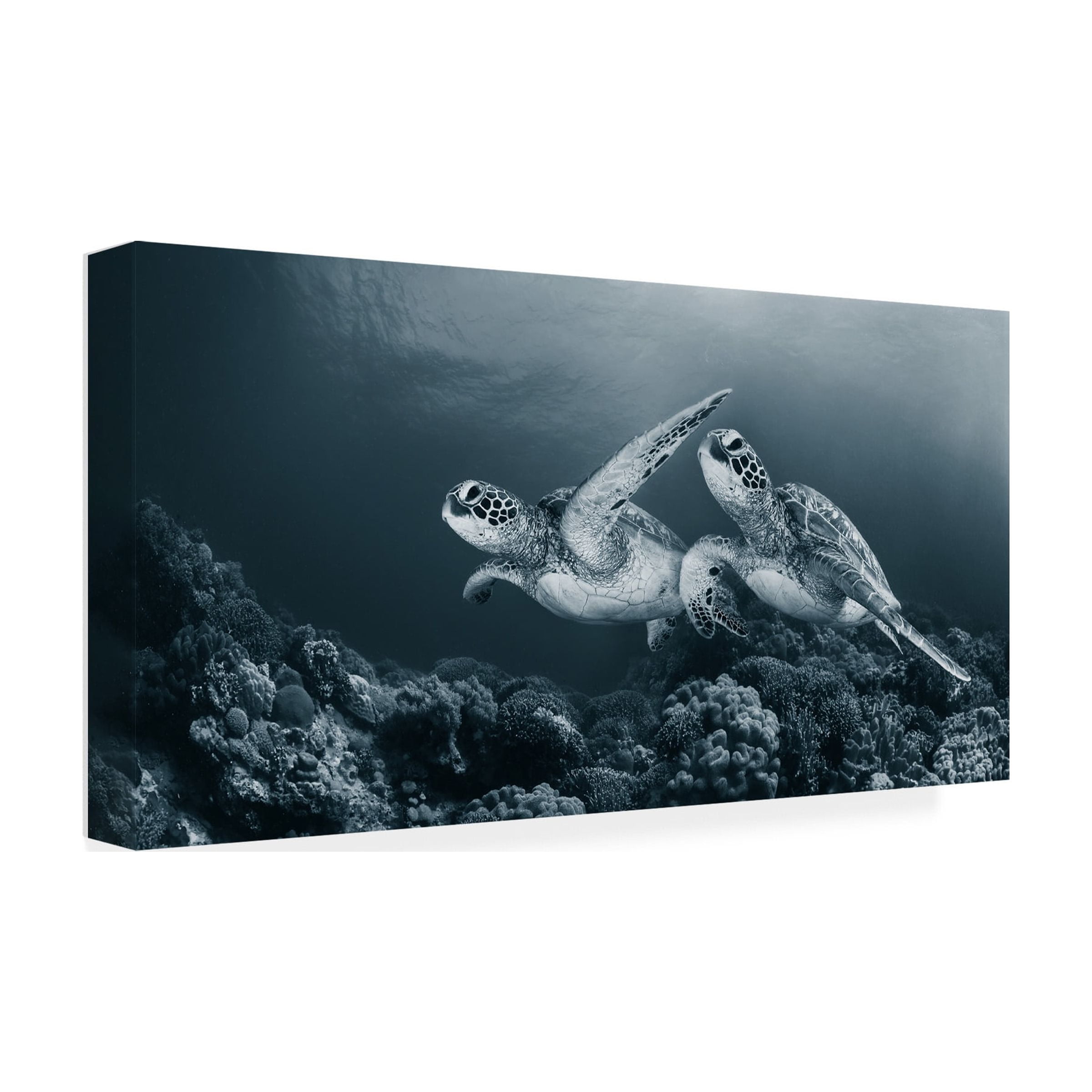 Andrey Narchuk 'Twin Dance' Canvas Art