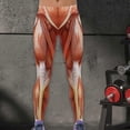 thumbnail image 5 of High Waisted Butt Lifting Leggings Muscle Print Yoga Pants for Women S-XXL, 5 of 5