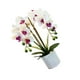 thumbnail image 2 of Billuyoard Bonsái falso duradero con buena sensación de la mano para arreglos artesanales exquisitos Bonsái artificial BF2312093 Type2 NO2, 2 of 6