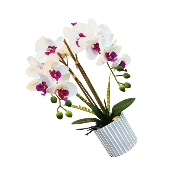 Bearachild Planta artificial apta para mascotas e inodoro para decoración del hogar no tóxica hipoalergénica ABS Bonsai BF2312093 Type2 NO2