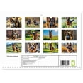 thumbnail image 2 of The brave protector (Monthly Wall Calendar 2026 16.5 x 23.4 (open)), CALVENDO 14 Month Calendar, 2 of 9