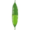thumbnail image 5 of Kettle Brand Potato Chips, Jalapeno Kettle Chips, 5 oz, 5 of 8