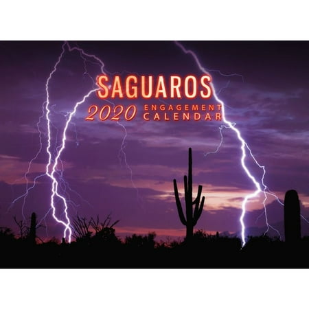 Erin Smith Calendar Smith Southwestern Saguaros Wall Calendar Printed on High Quality FSC Certified Paper with Full Color Pages - 12 Month ()